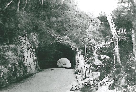 南置賜郡刈安隧道：東口の画像